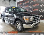 Image #2 of 2023 Ford F-150 XLT