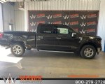 Image #2 of 2024 Ford F-150 XLT